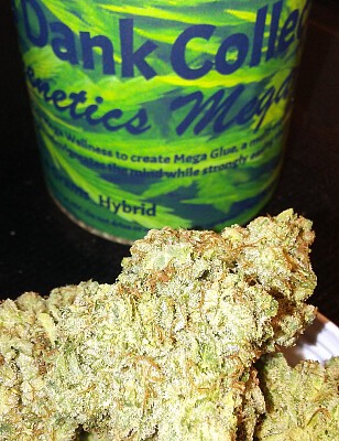 NG Mega Glue Hybrid